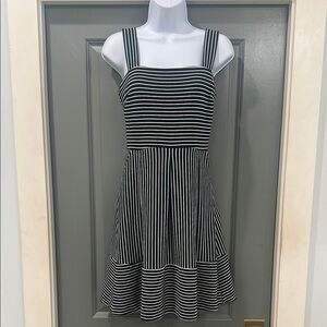 Navy and White Striped Banana Republic Dress